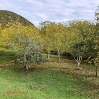 image_6483441 - 2021-10-26T133213.308